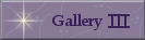Gallery - Cats Remembered